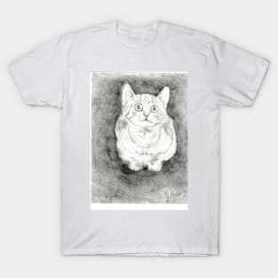 Hypo realistic crouching cat T-Shirt